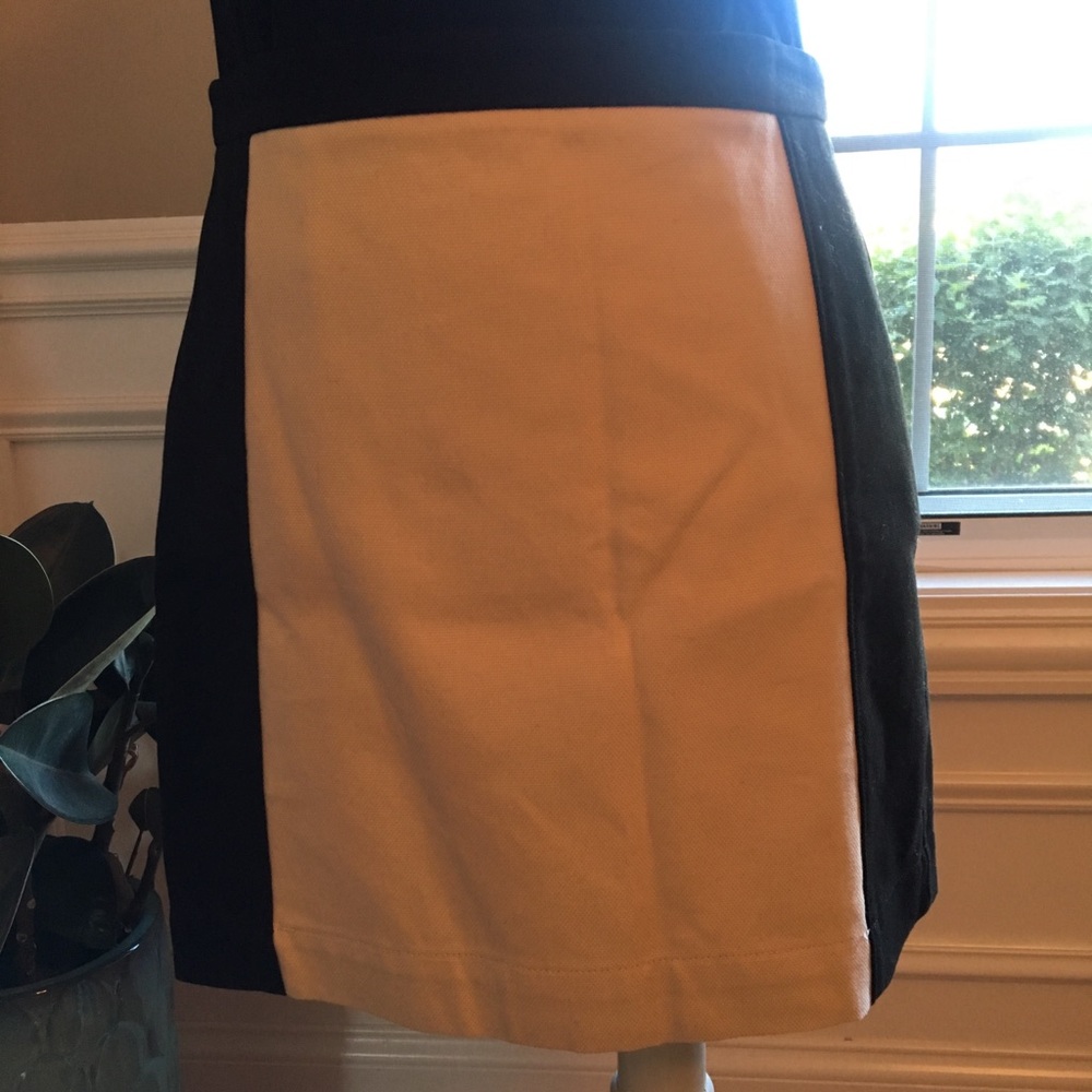 NWT Ann Taylor Loft Skirt Size 4